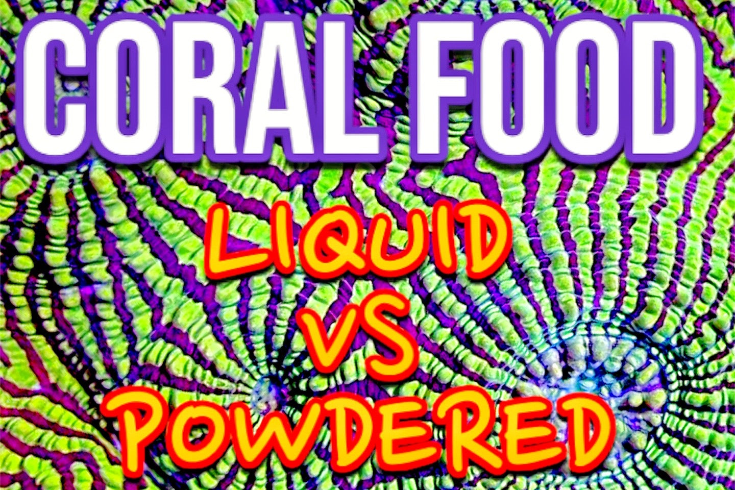 What to feed corals Liquid or powdered food