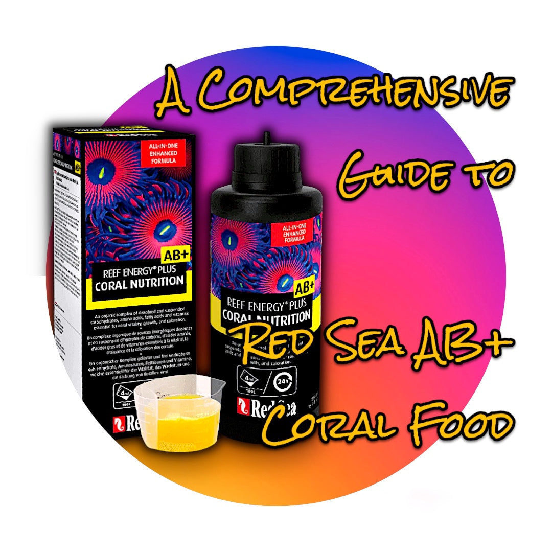 Red sea Ab+ Coral food review blog