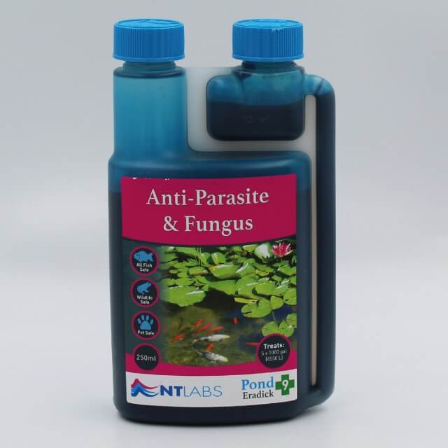 NT Labs Eradick Anti-Parasite & Fungus 250ml