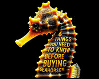 6 things you need to know about seahorses blog