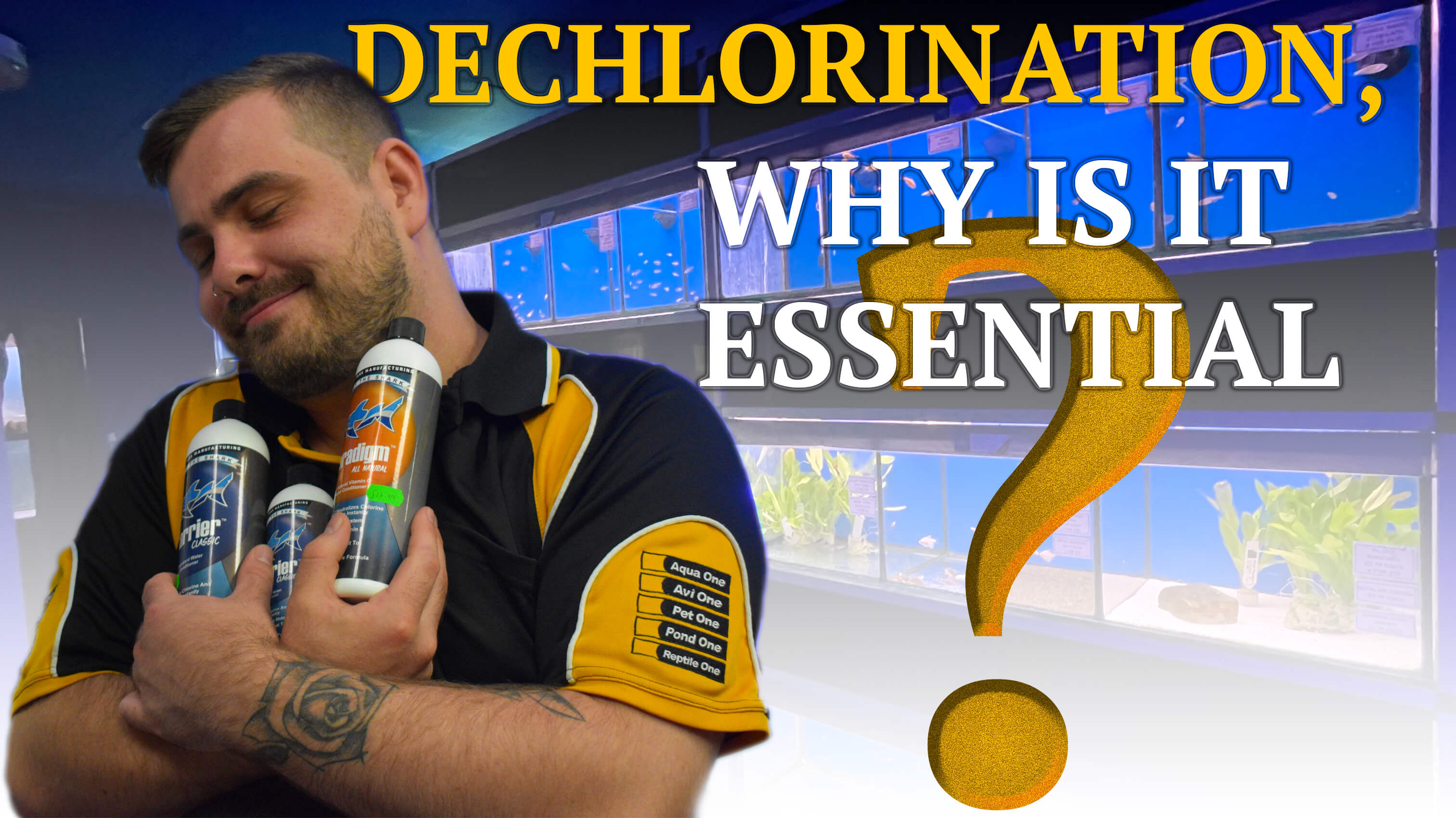 what is dechlorinator and why you should dechlorinate your aquarium water