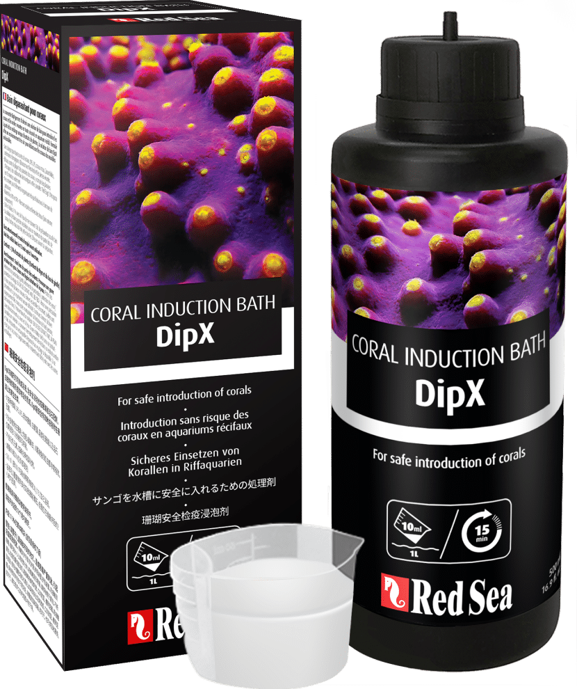Red Sea DipX Coral Induction Bath