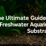 The Ultimate Guide to Freshwater Aquarium Substrate